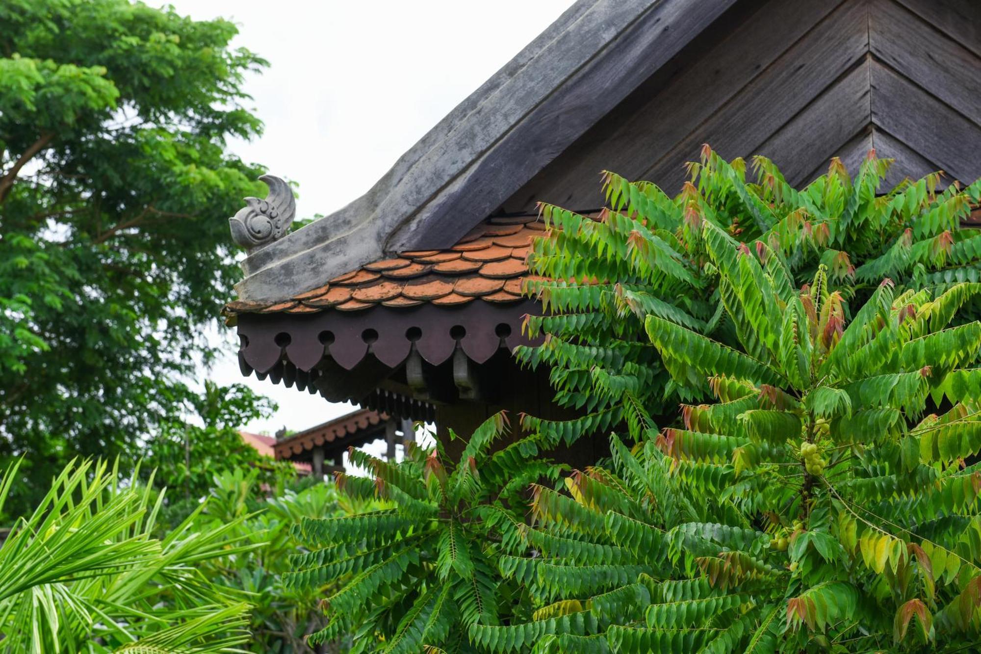 Phum Khmer Lodge - Village Cambodian Eco-Lodge เสียมราฐ ภายนอก รูปภาพ